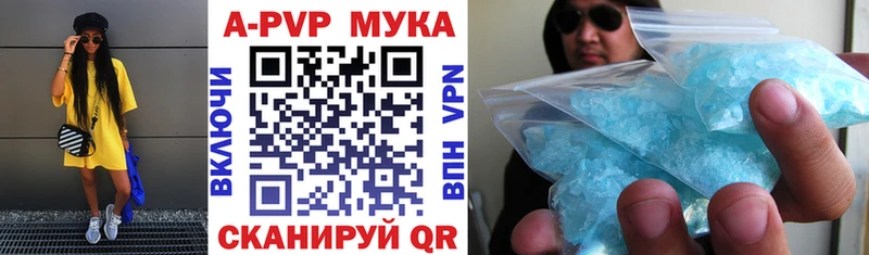 A PVP СК Электросталь