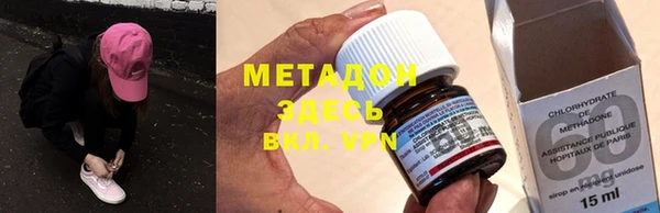 прущие грибы Бердск