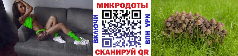 Галлюциногенные грибы ЛСД  Электросталь 