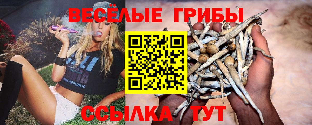 Псилоцибиновые грибы GOLDEN TEACHER  Вход с VPN  Электросталь 